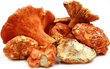 Champignon crabe
